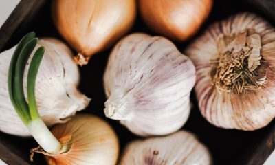 onion and garlic on tray