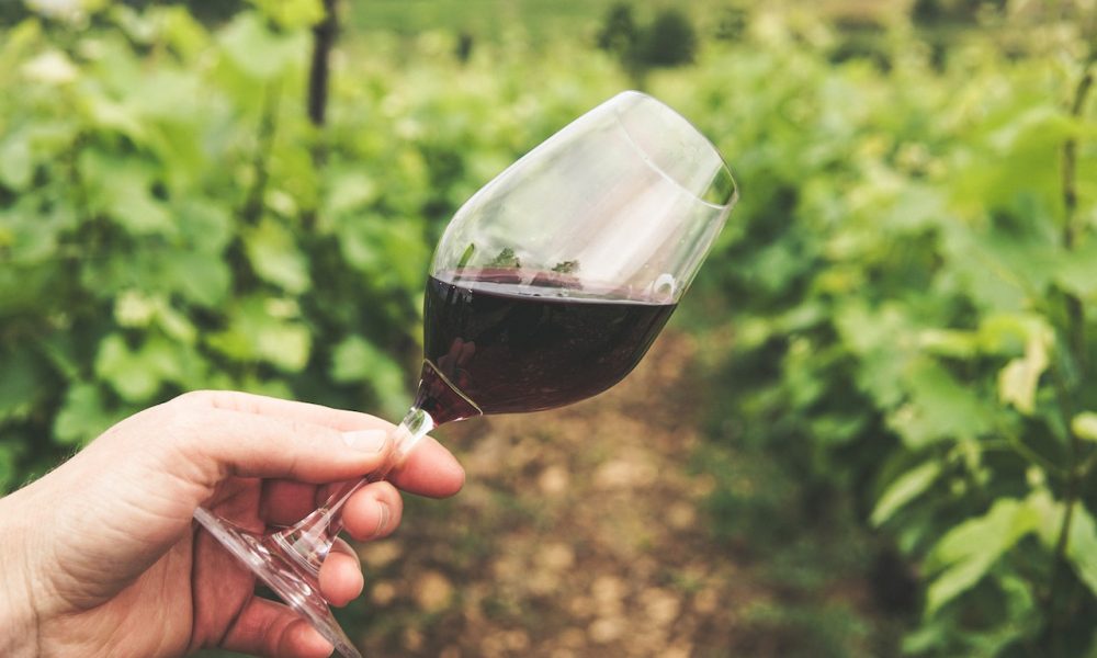 wine on glass