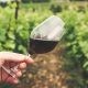 wine on glass