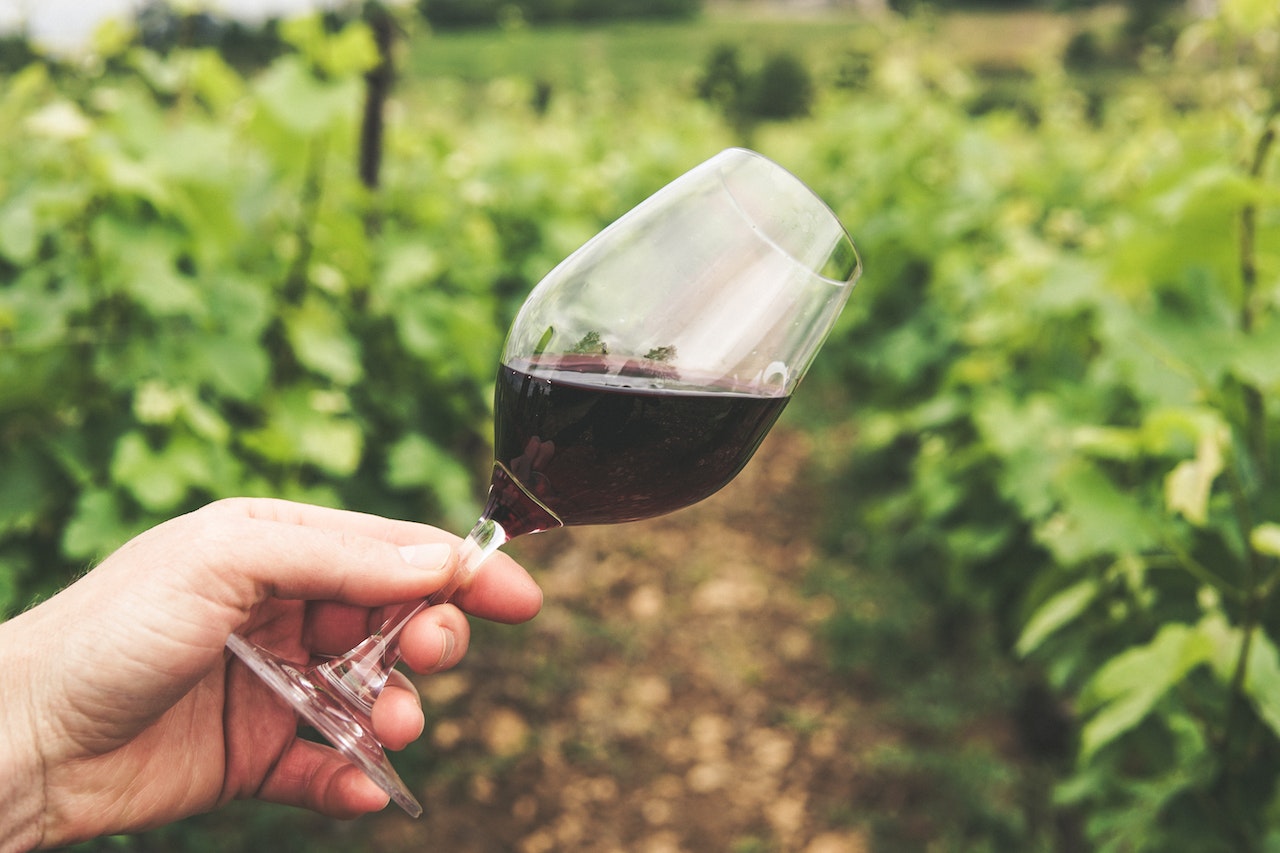 wine on glass