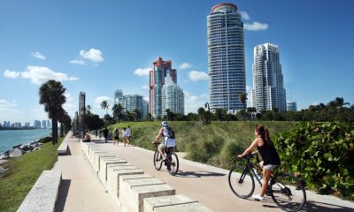 people biking on park