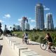 people biking on park