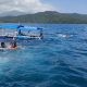 people swimming to rescue