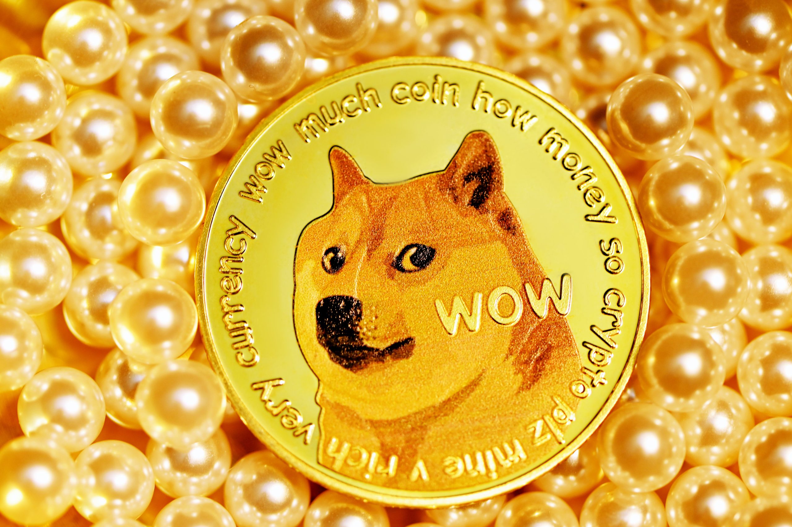 A single Dogecoin on a pile of pearls.