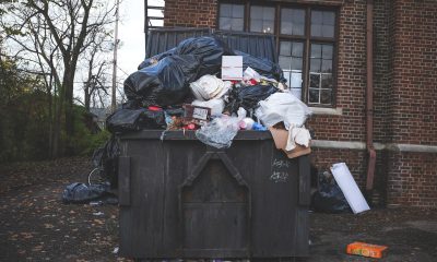 overflowing trash bin