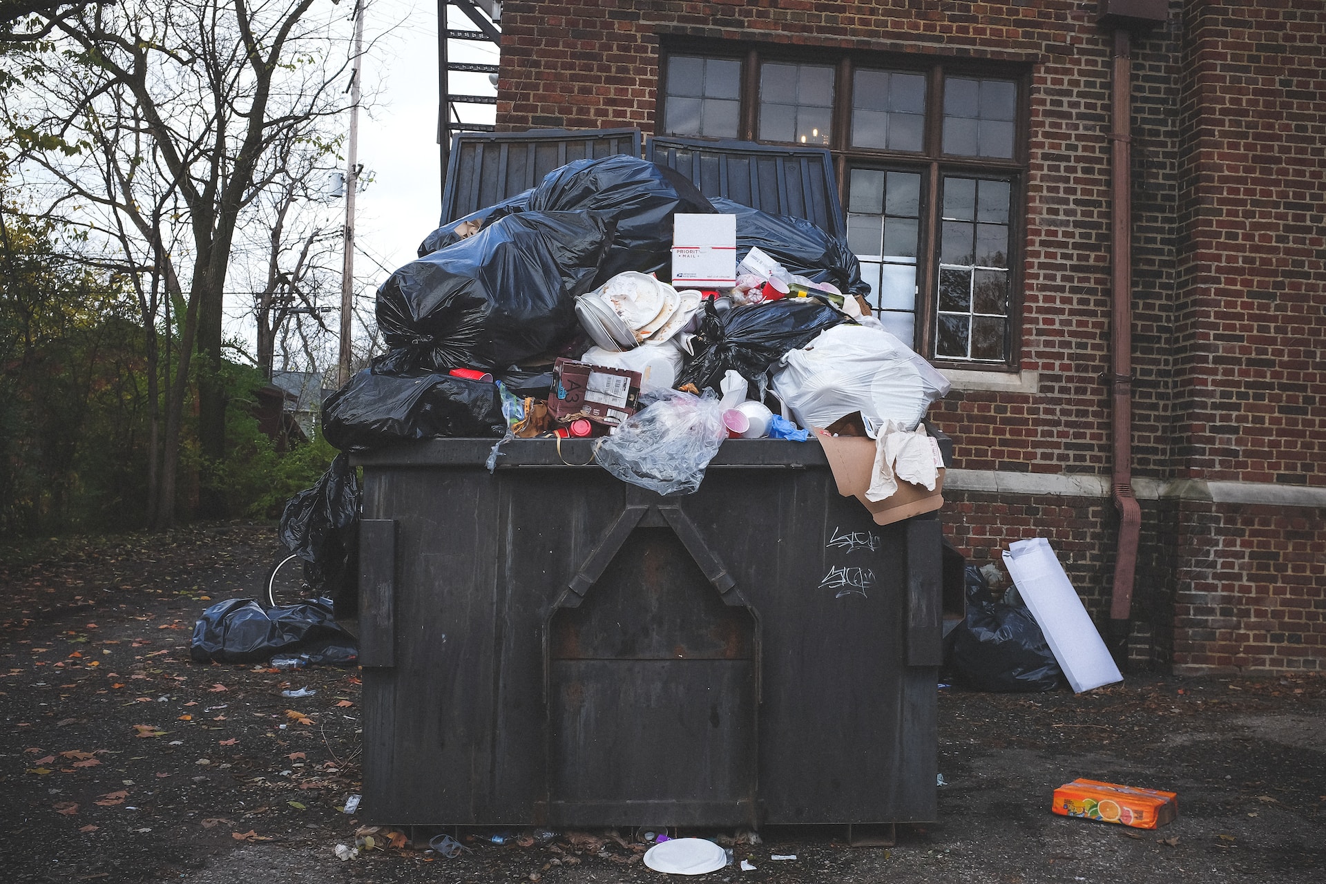 overflowing trash bin