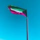 flag of kuwait