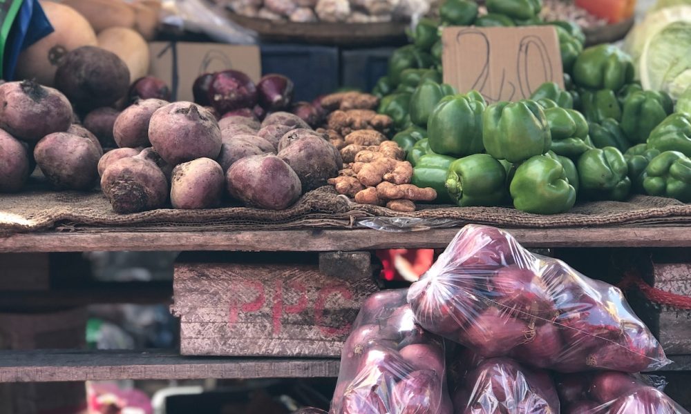 assorted raw vegetables