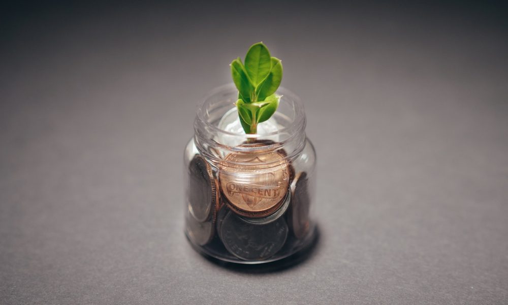 plant on coins