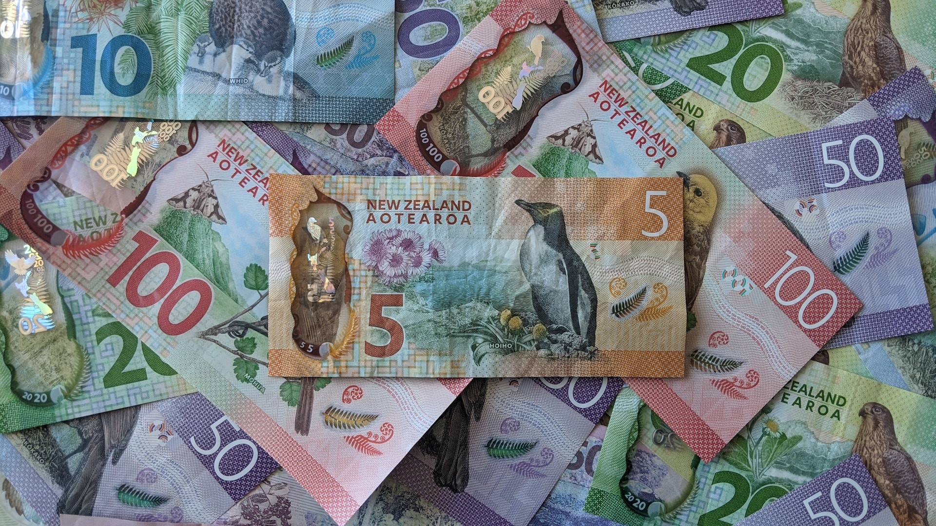 New Zealand bank notes