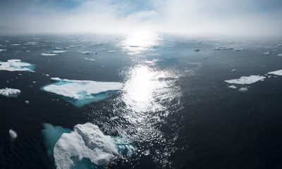 icebergs on water