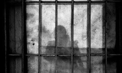 shadow railings
