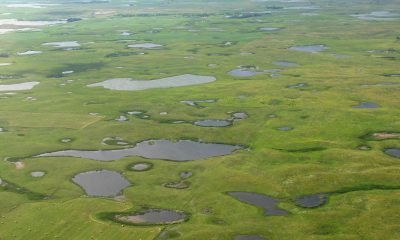 Prairie Potholes