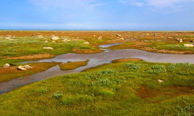 Shores of Hudson Bay