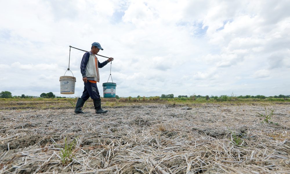 House bill creating agri pension fund for elderly farmers filed - Philippine Canadian Inquirer Nationwide Filipino Newspaper - Vimarsana News