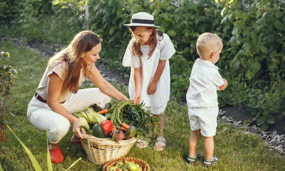 Woman in Brown Shirt and White Pants Harvesting Fresh Vegetables