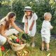 Woman in Brown Shirt and White Pants Harvesting Fresh Vegetables