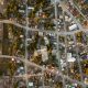 Aerial Photography of Assorted-color Buildings