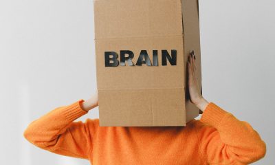 Box with Brain title on head of unrecognizable woman