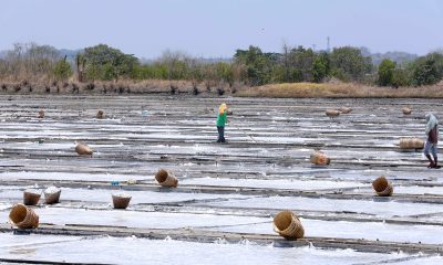 Salt Farm in Bani, Pangasinan
