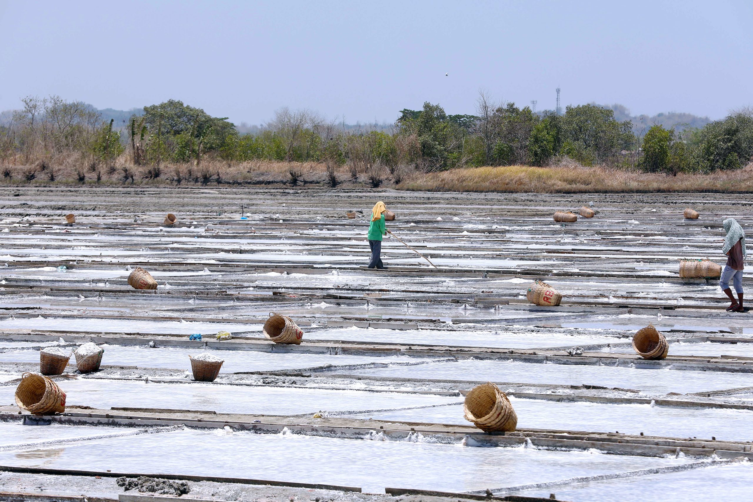 Salt Farm in Bani, Pangasinan