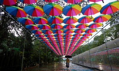 colorful umbrellas hanging as roof