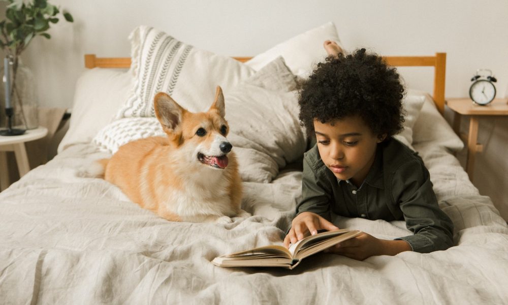 boy and dog on bed