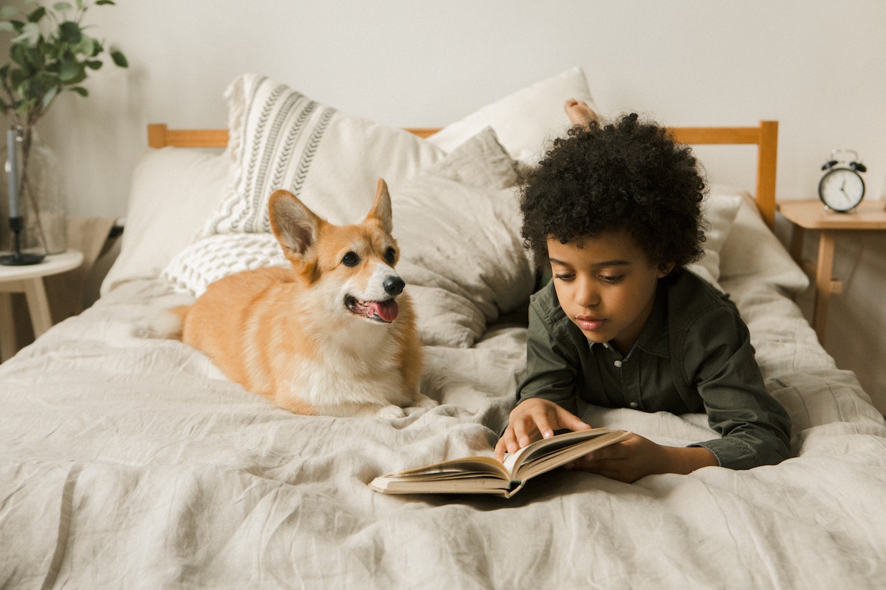 boy and dog on bed