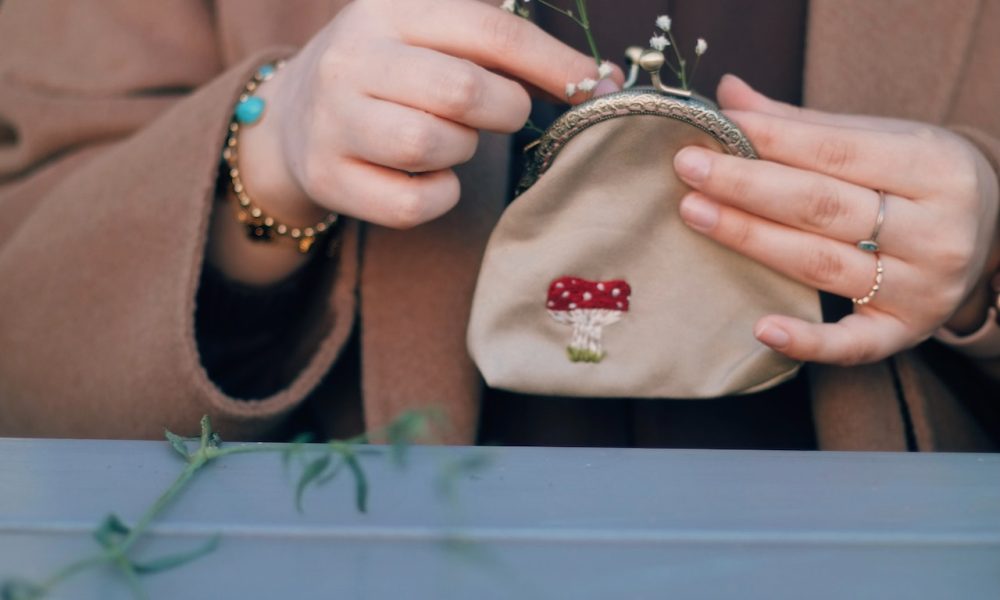 hands holding a coin purse