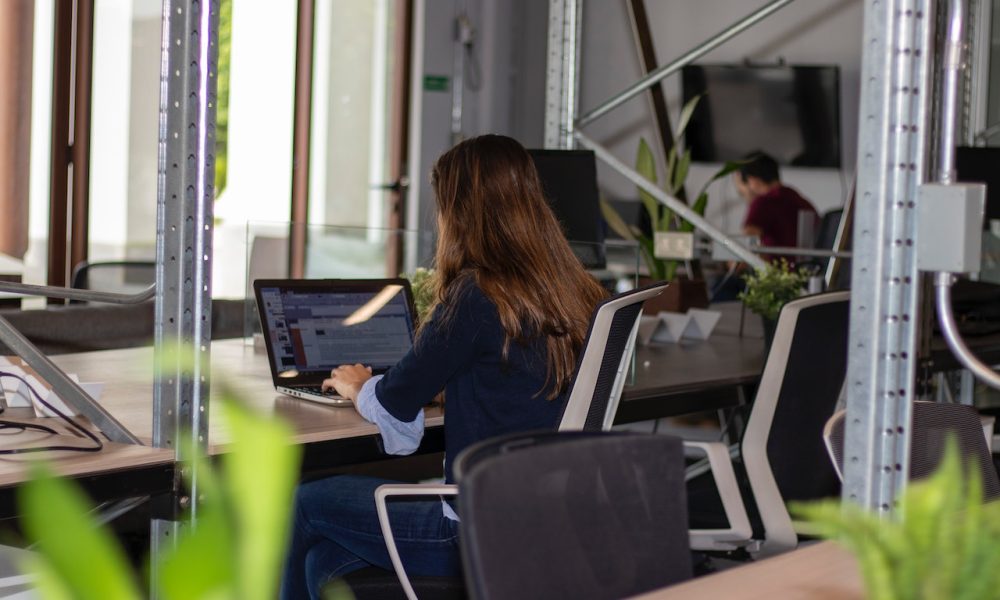 woman working in laptop