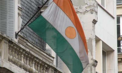 Niger flag