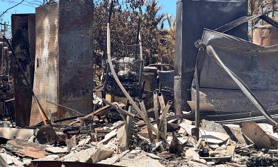 Maui wildfire aftermath