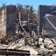 Maui wildfire aftermath