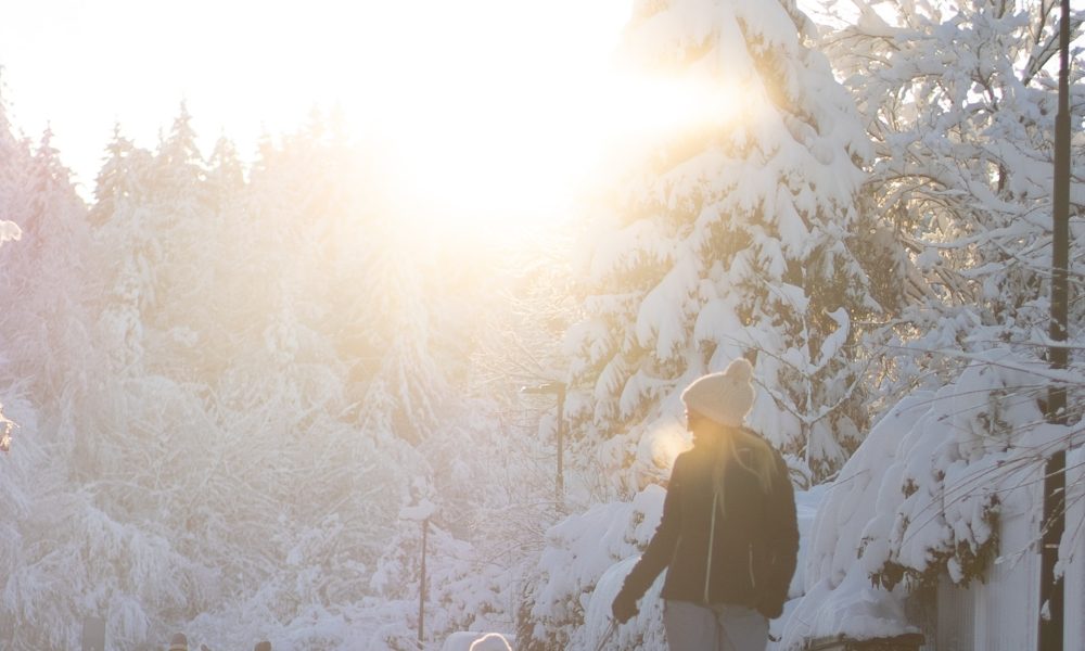 people walking on snow on sunny winter