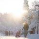 people walking on snow on sunny winter