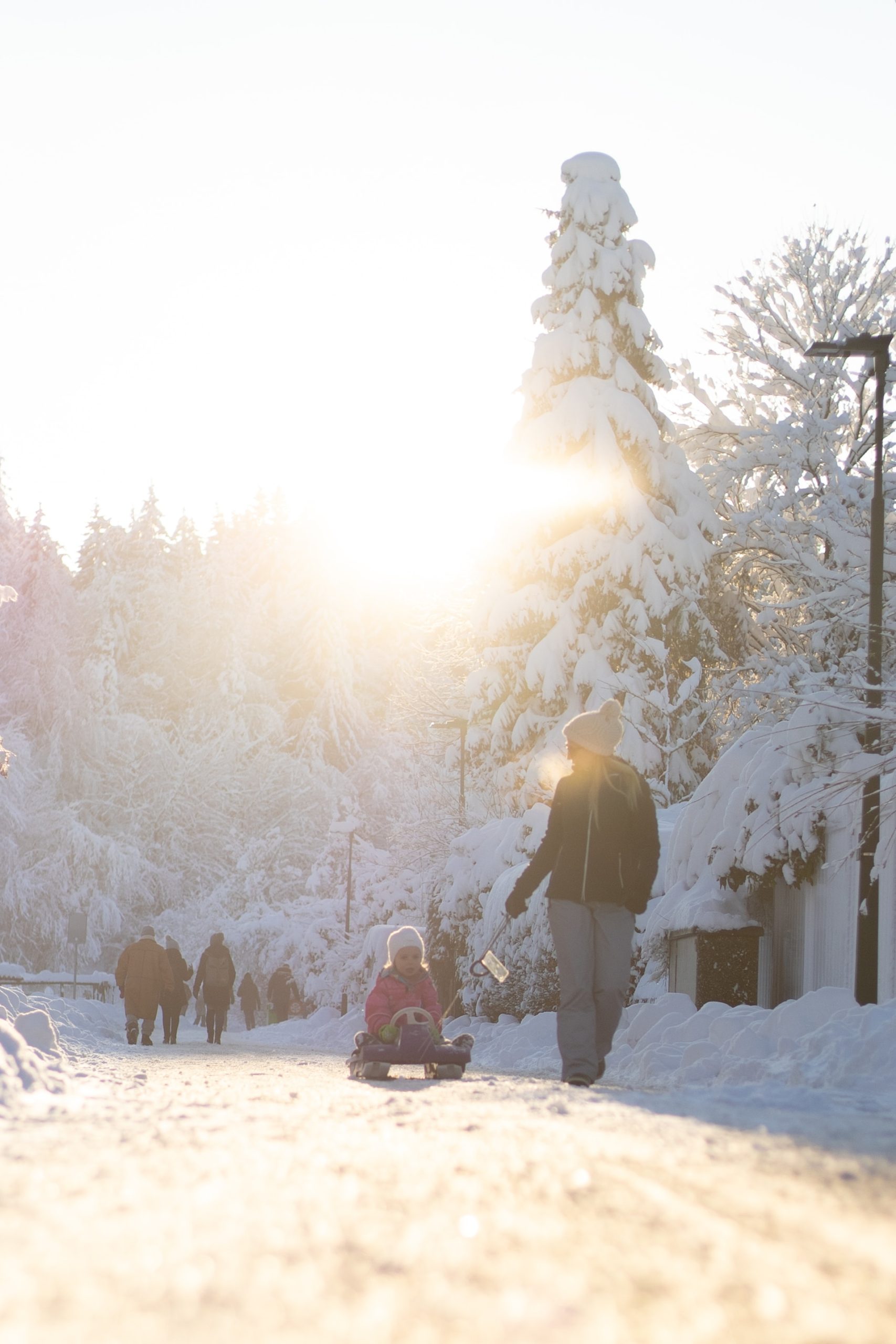 people walking on snow on sunny winter