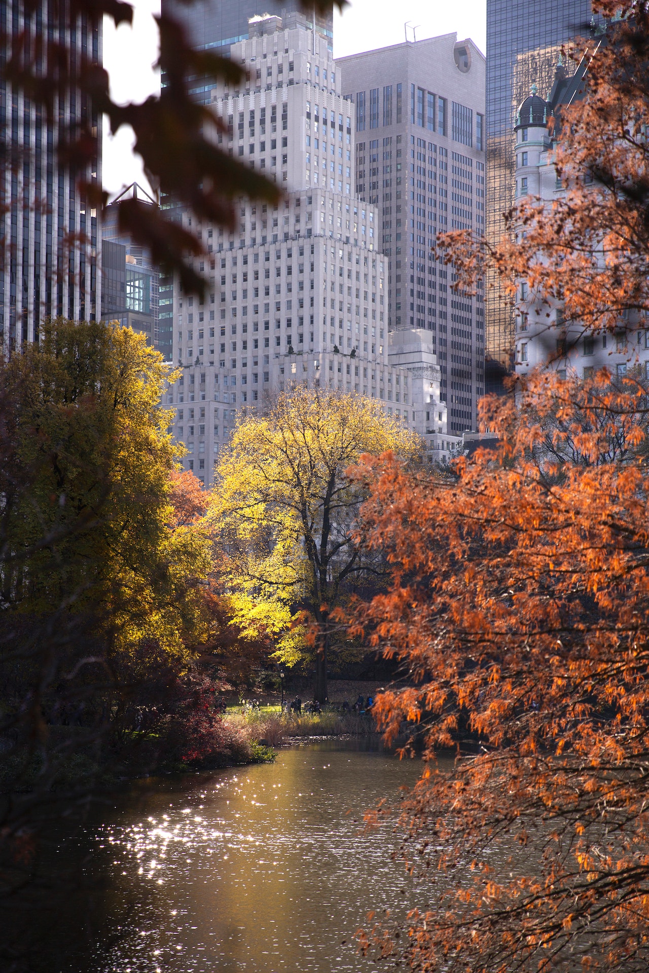 buildings trees