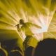 man performing on stage