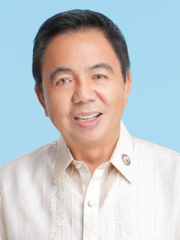 Former MMDA chair Bayani Fernando