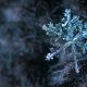 Close-up Photography of Snowflake