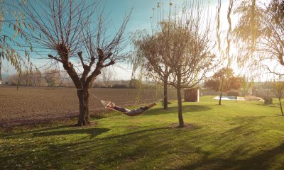 Person Relaxing on the Hammock