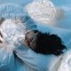 Photo of a Woman Sleeping Hugging a Cloud