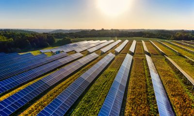 Solar Farm at Sunny Day