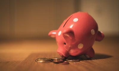 piggy bank