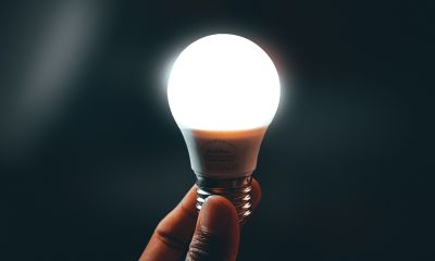 Close-up Photo of an Illuminated Light Bulb held by a Person