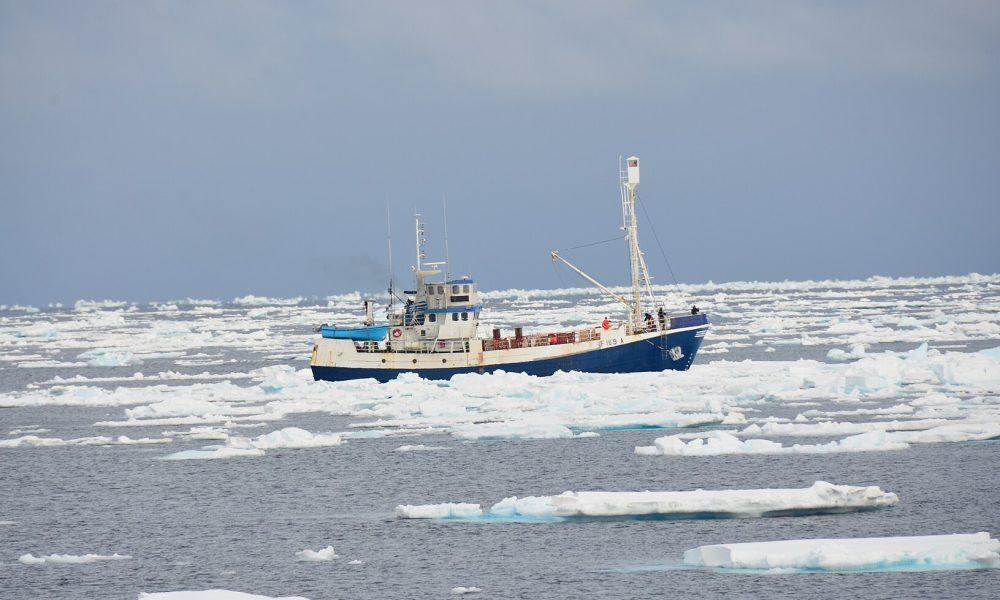 Canada-EU summit: Will Canada push for an end to cultural violence against seal hunters? - Philippine Canadian Inquirer Nationwide Filipino Newspaper - Vimarsana News