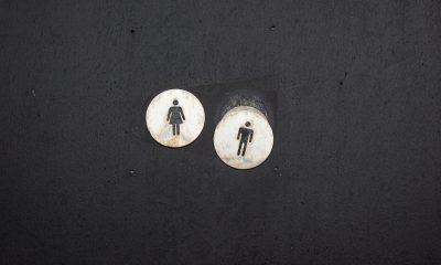 male female symbol button