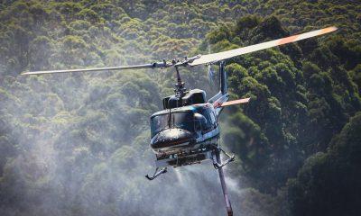 Helicopter Flying above Forest