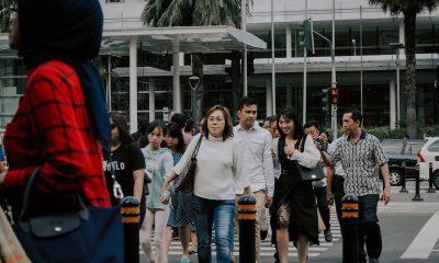pedestrians crossing road