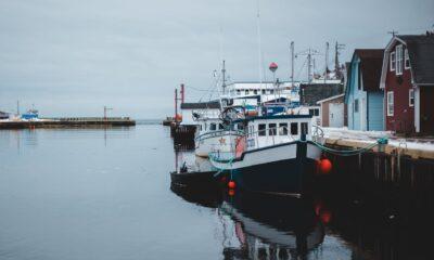 Moored boats in calm snowy port